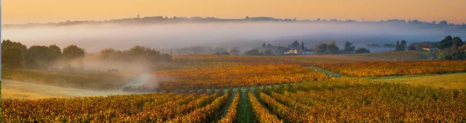 Medoc Wine