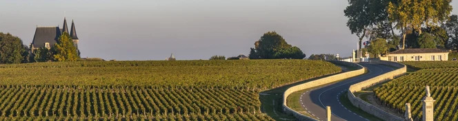 Pauillac Wine