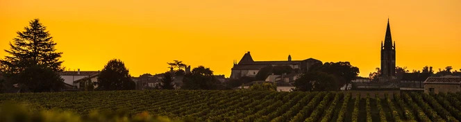Right Bank Bordeaux Wine