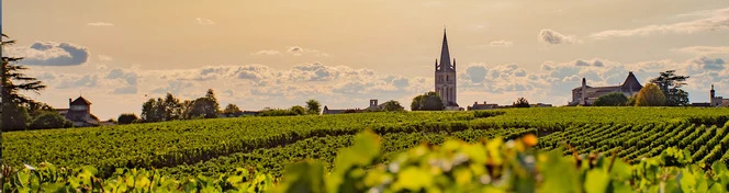 Saint-�milion Wine