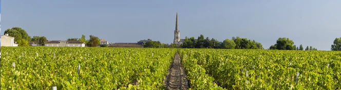 Saint-Julien Wine