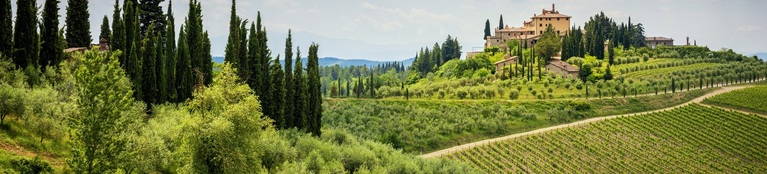 Buy Tuscany Wine Online 